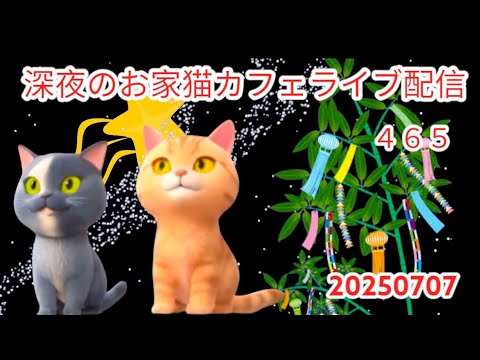 深夜のお家猫カフェライブ配信 ４６５