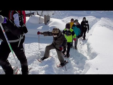 スノーシューで健康づくり　士別　高齢者ら冬景色散策