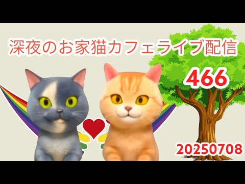 深夜のお家猫カフェライブ配信 ４６６
