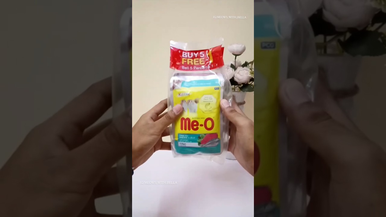 Unboxing joy with Me-O 😋✨ #shorts #persian #cute #catfood #meo