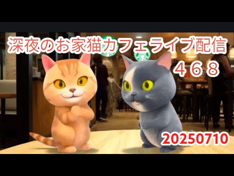 深夜のお家猫カフェライブ配信 ４６８