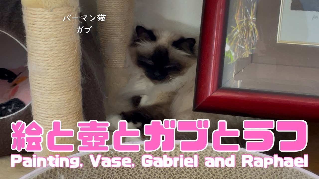 バーマン猫ガブとラフ【絵と壺とガブとラフ】Painting, Vase, Gabriel and Raphael（バーマン猫）Birman/Cat