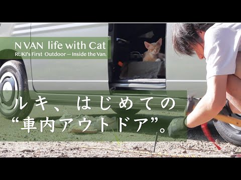 猫とN-VANで車中キャンプ。ルキの初アウトドア記録。Cat Camping in the Van｜RUKI’s First Camp Experience