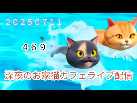 深夜のお家猫カフェライブ配信 469