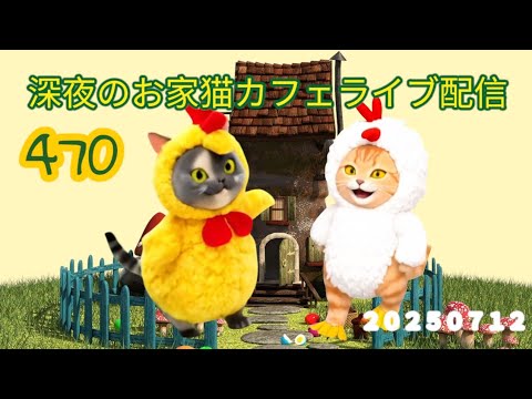 深夜のお家猫カフェライブ配信 ４７０