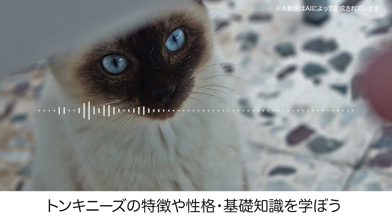 トンキニーズの特徴や性格・基礎知識を学ぼう