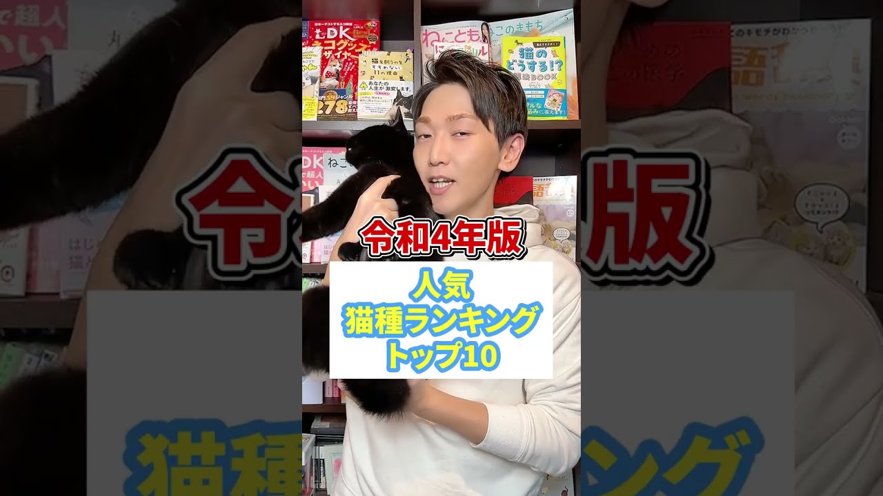 令和４年版　人気猫種ランキングトップ１０
