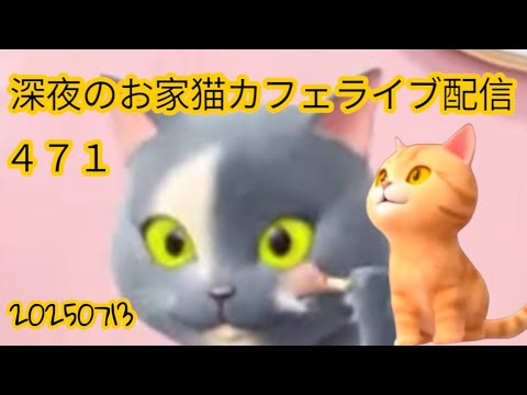深夜のお家猫カフェライブ配信 ４７１