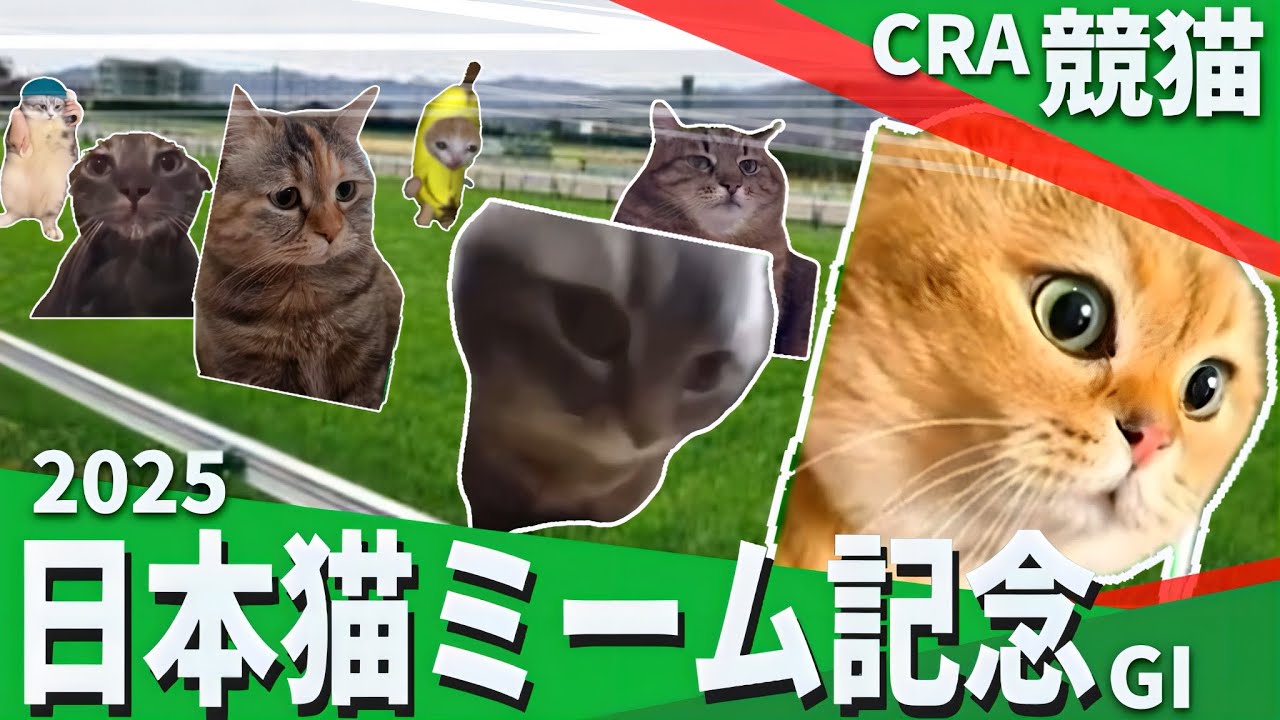 2025年 日本猫ミーム記念（G I） 【猫ミーム】