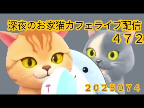 深夜のお家猫カフェライブ配信 ４７２