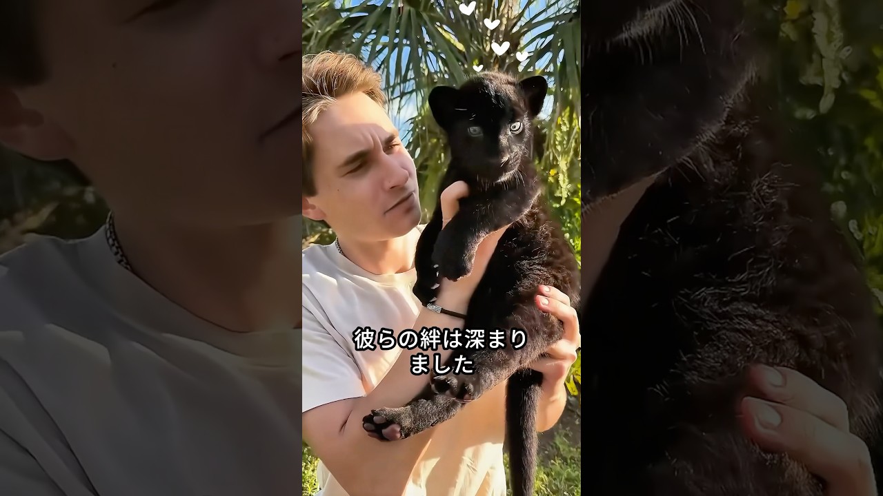 捨てられた子猫を救って育てた優しい男性、そして...