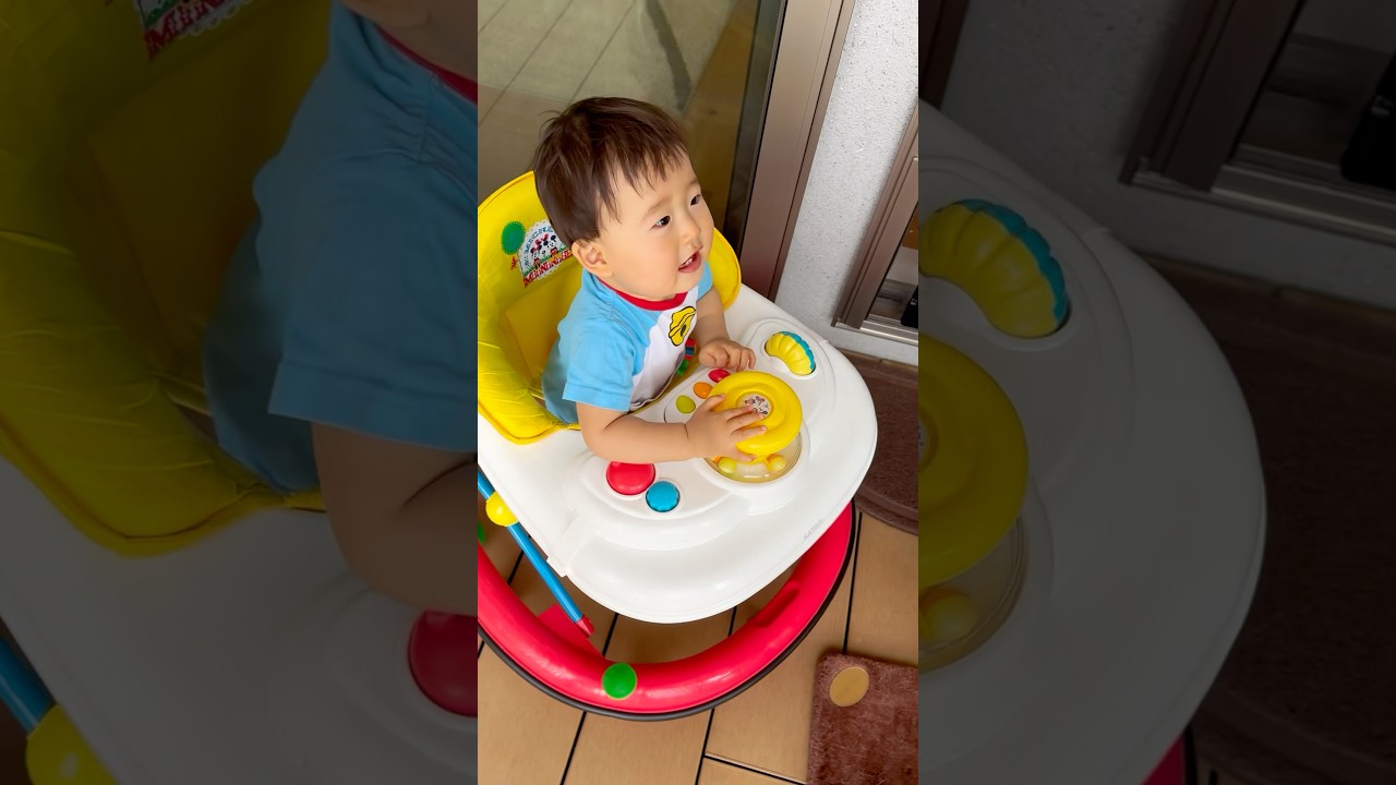 小さな侵略者👶🏻‼️ #赤ちゃん #1歳 #baby #保護猫 #ロシアンブルー #cat