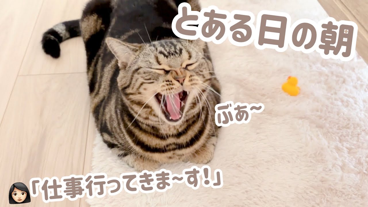 おかんが仕事に行く前の､とある日の朝。