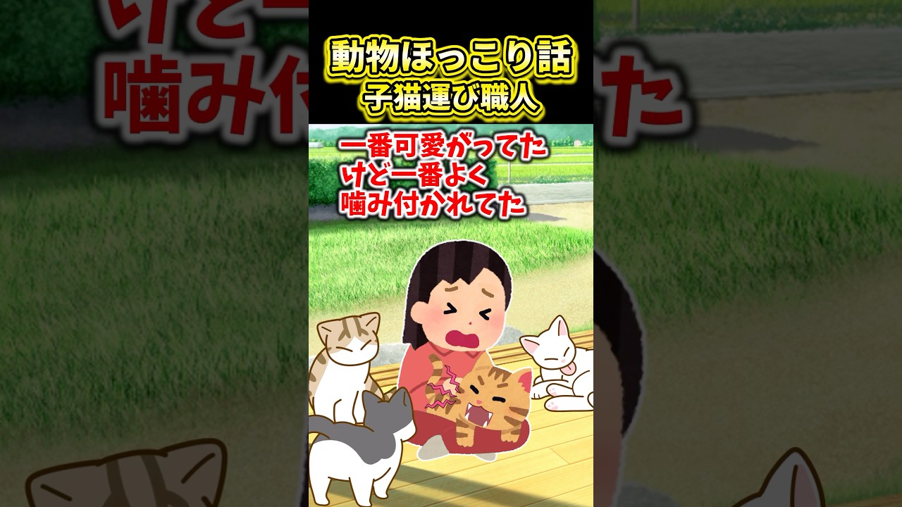【2ch動物スレ】動物ほっこり話～子猫運び職人～