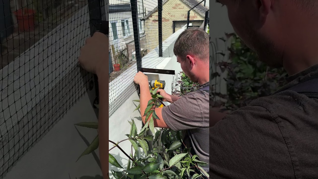 😻🌿 Another garden secured with ProtectaPet Cat Fencing for this Maine Coon Kitten! #catfencing