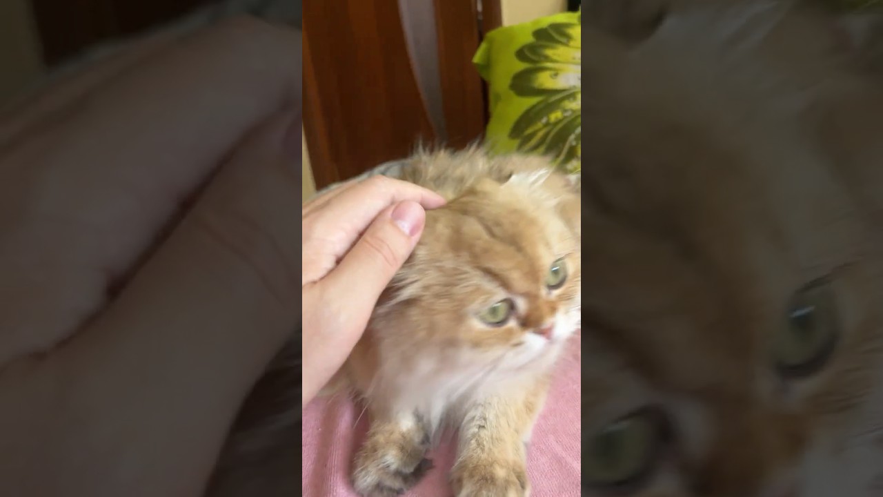 See, but don't touch!