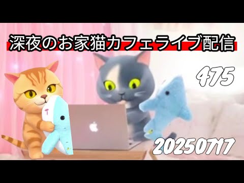 深夜のお家猫カフェライブ配信 ４７５