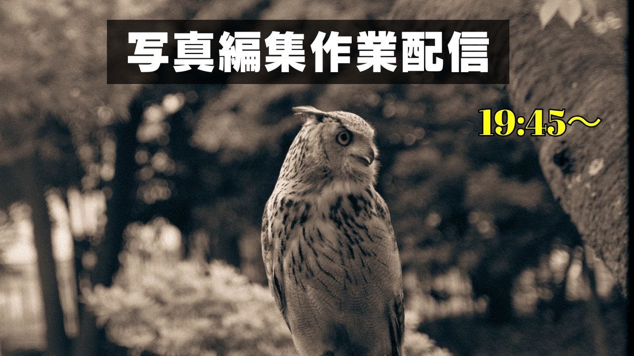 小一時間だけ写真編集作業配信