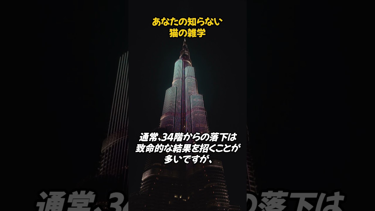 マンションの34階から落下した猫⁉　 #ネコ #雑学  #動物