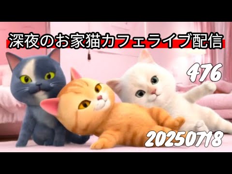 深夜のお家猫カフェライブ配信 ４７６