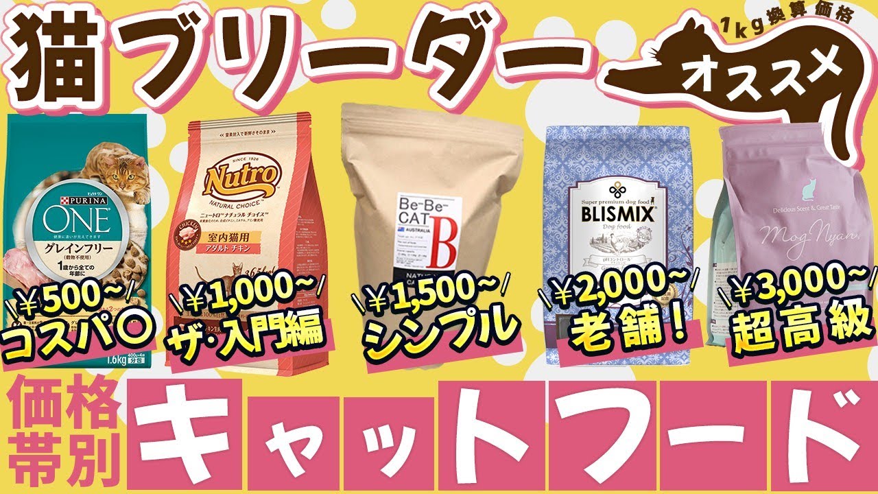 【価格帯別！キャットフードのオススメ５選！】現役猫ブリーダーがフードの選び方やコツを詳しく解説します！
