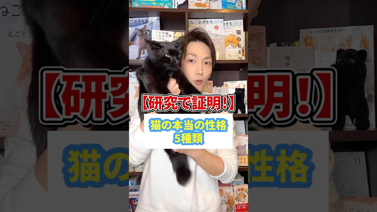【研究で証明！】猫の本当の性格５種類