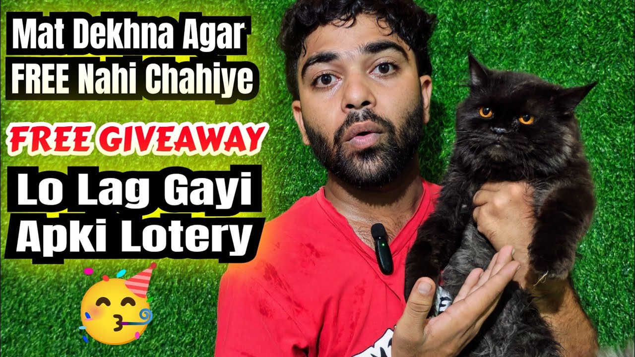 🎁 FREE Persian Cat Giveaway 😱 | Mat Dekhna Agar FREE Nahi Chahiye #youtube #cat #kitten #trending
