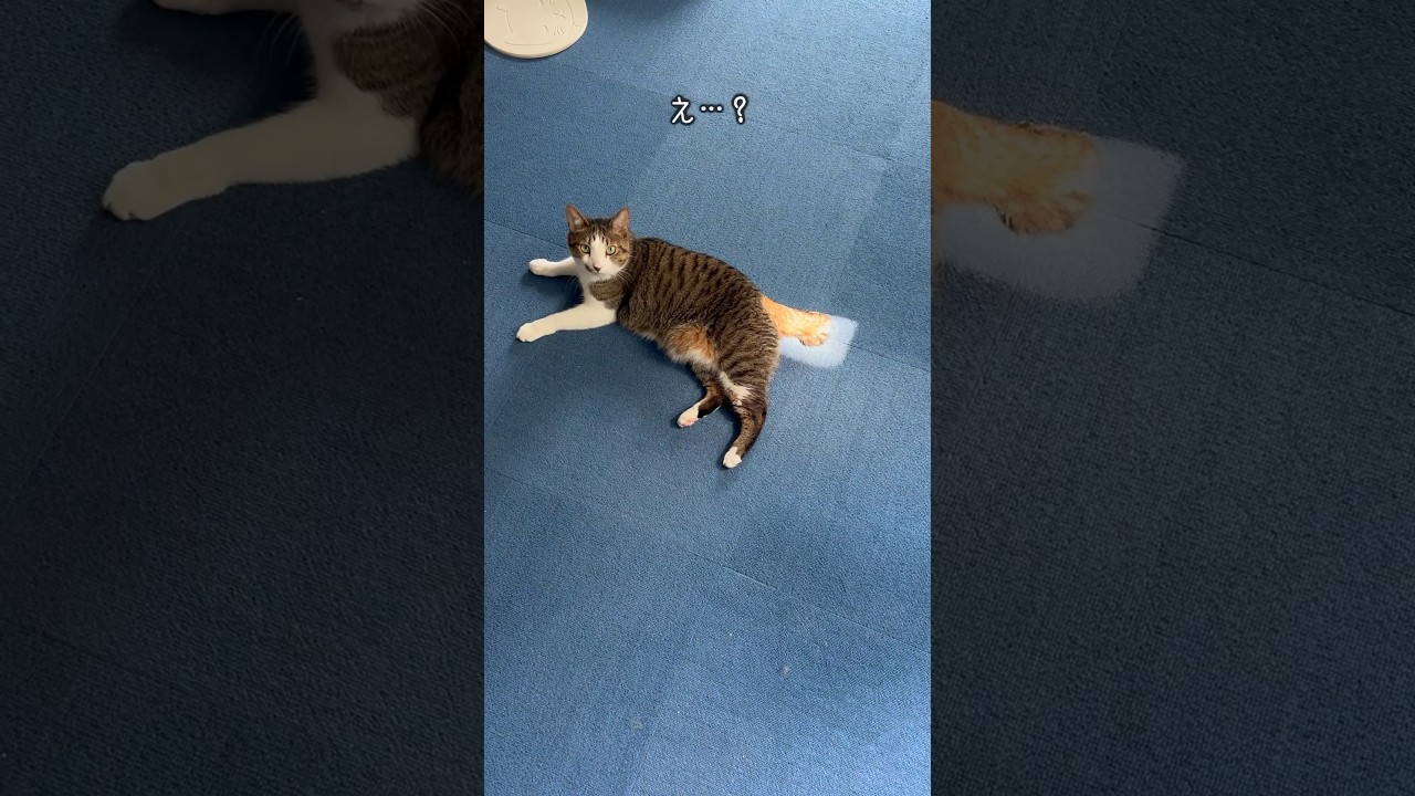 【違和感】あなたは気づきましたか？