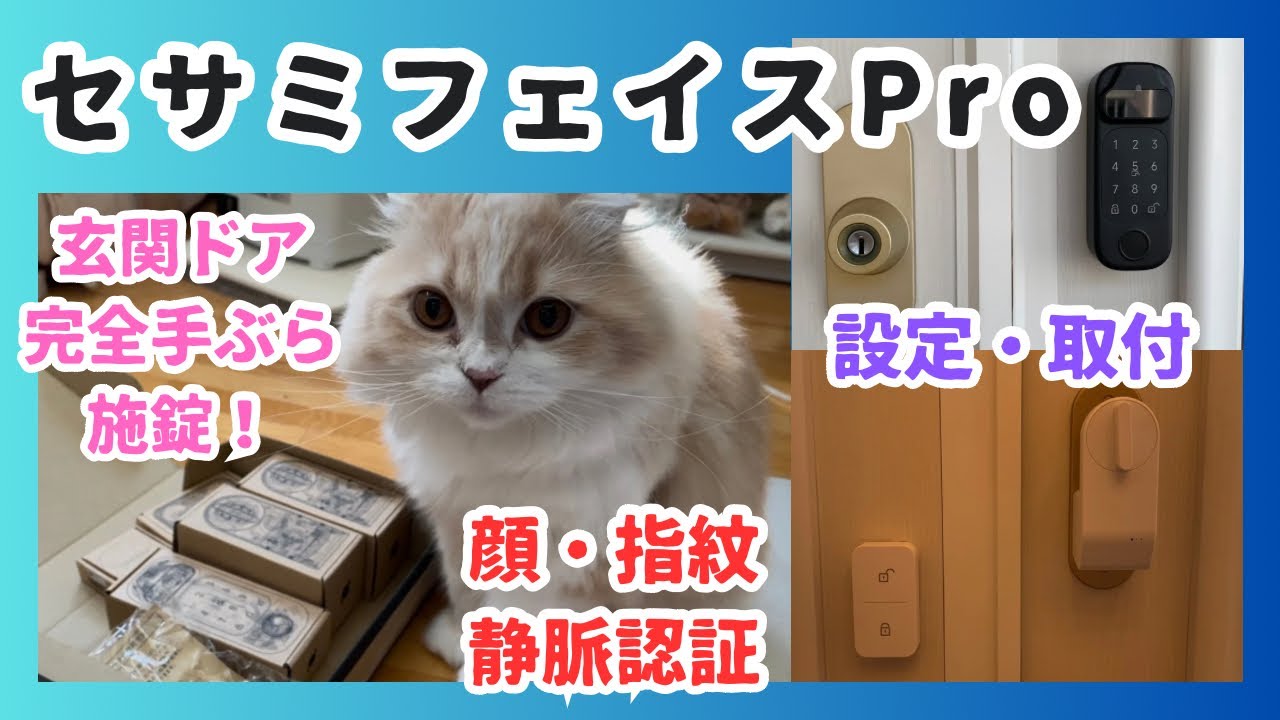 【セサミフェイスプロ】スマートロック手ぶらで施錠！価格破壊！工事不要！超便利！スコティッシュフォールド/SESAME FACE PRO