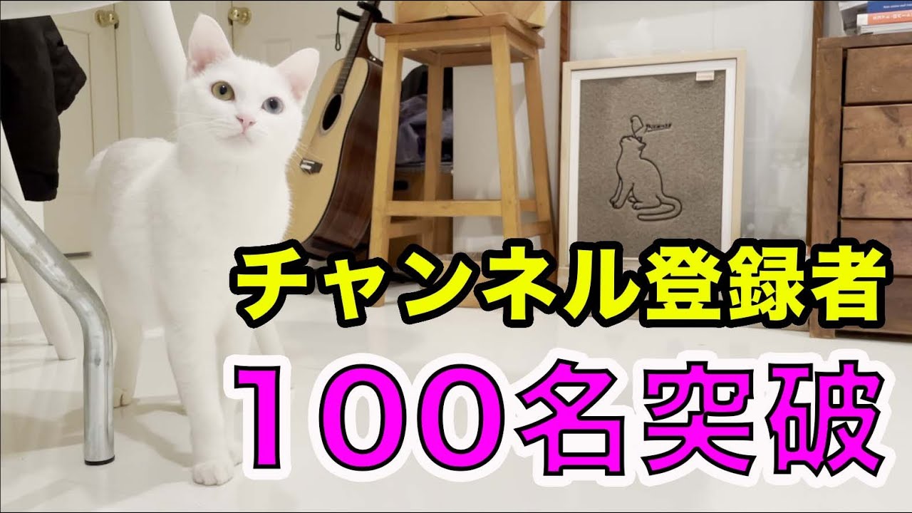 【御礼】祝！！登録者100人突破！！