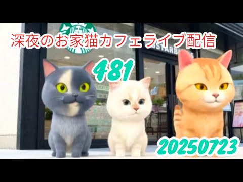 深夜のお家猫カフェライブ配信 ４８１