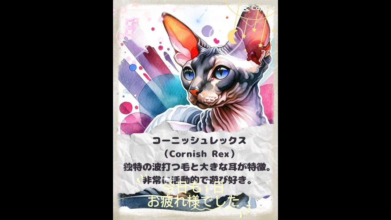 おやすみの挨拶21コーニッシュレックス#capcut #short #cat #aiart #猫のいる暮らし#ねこ好きさんと繋がりたい