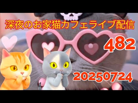 深夜のお家猫カフェライブ配信 ４８２