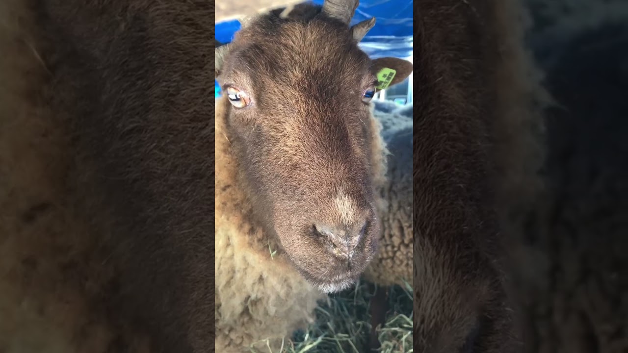 マンクス積み込み！車内の様子🚛