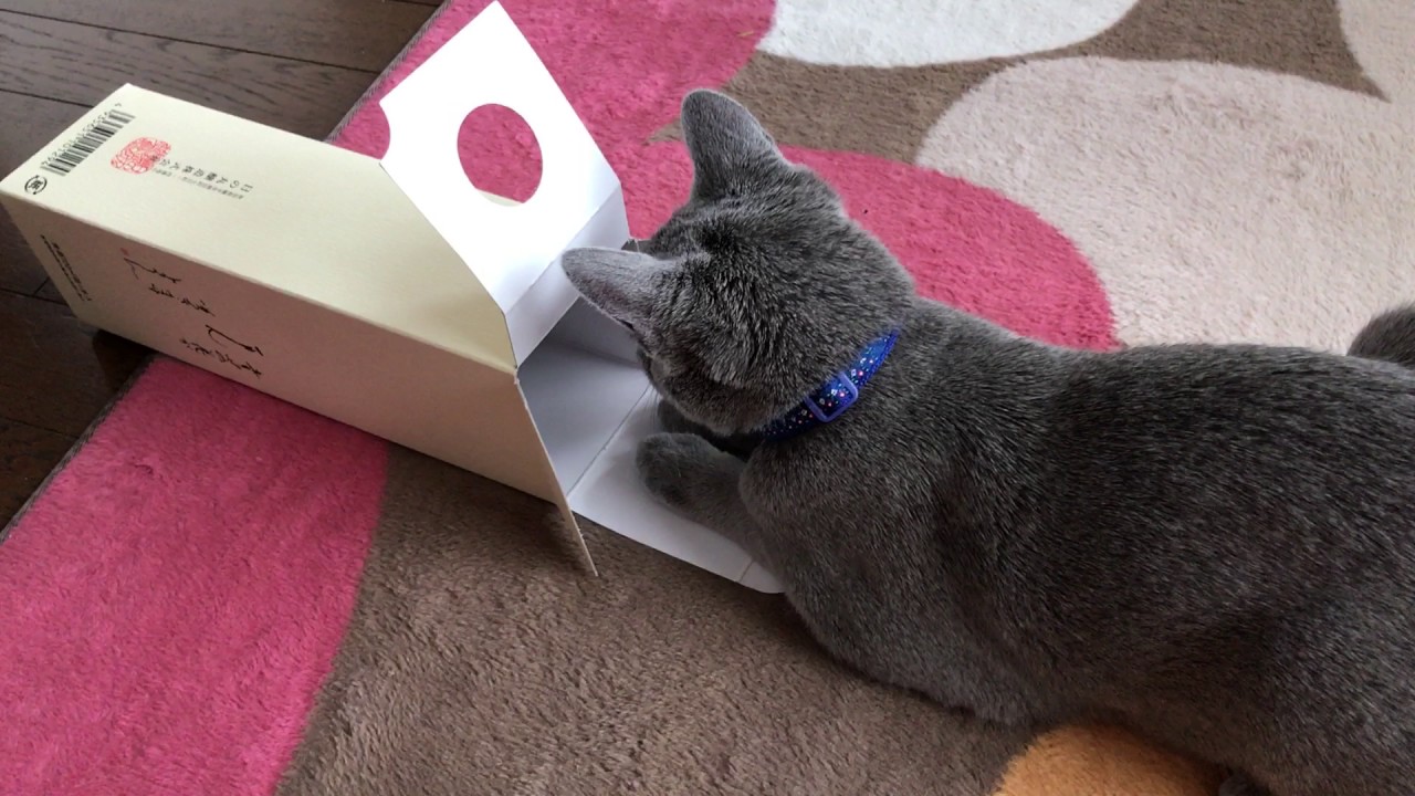 ロッチ。絶対入れないっしょ