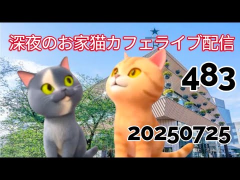 深夜のお家猫カフェライブ配信 ４８３