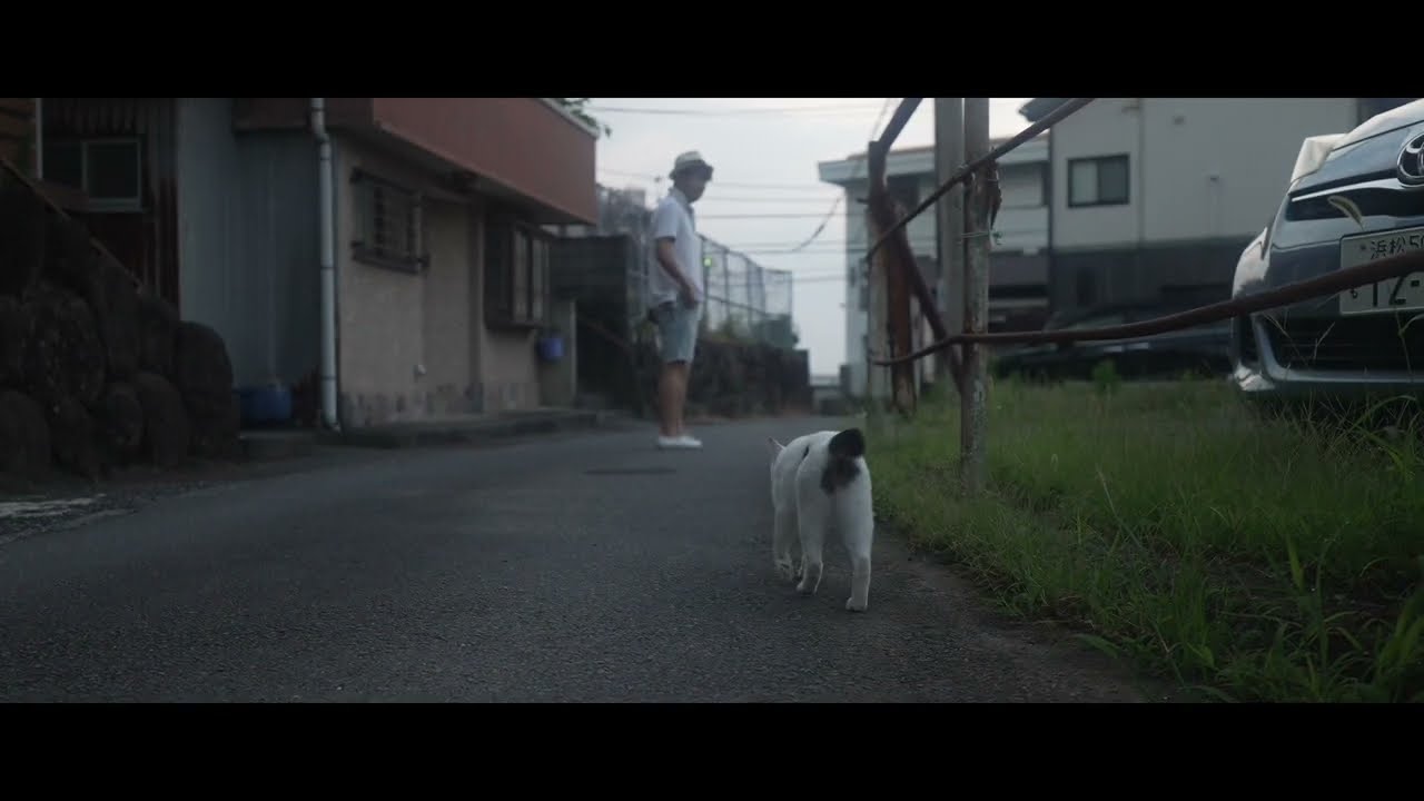 さんぽねこのゆきちゃん