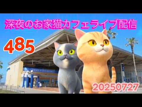深夜のお家猫カフェライブ配信 ４８５