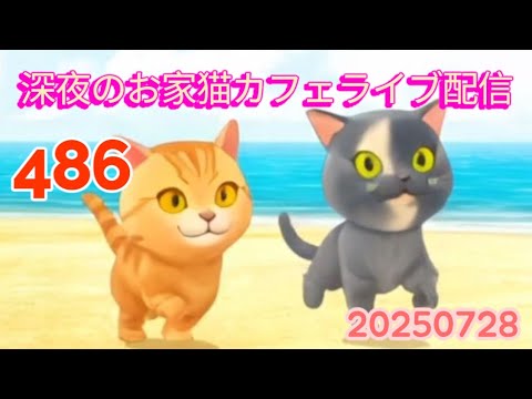 深夜のお家猫カフェライブ配信 ４８６