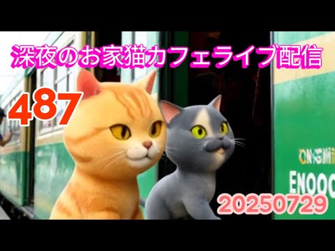 深夜のお家猫カフェライブ配信 ４８７