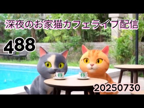 深夜のお家猫カフェライブ配信 ４８８