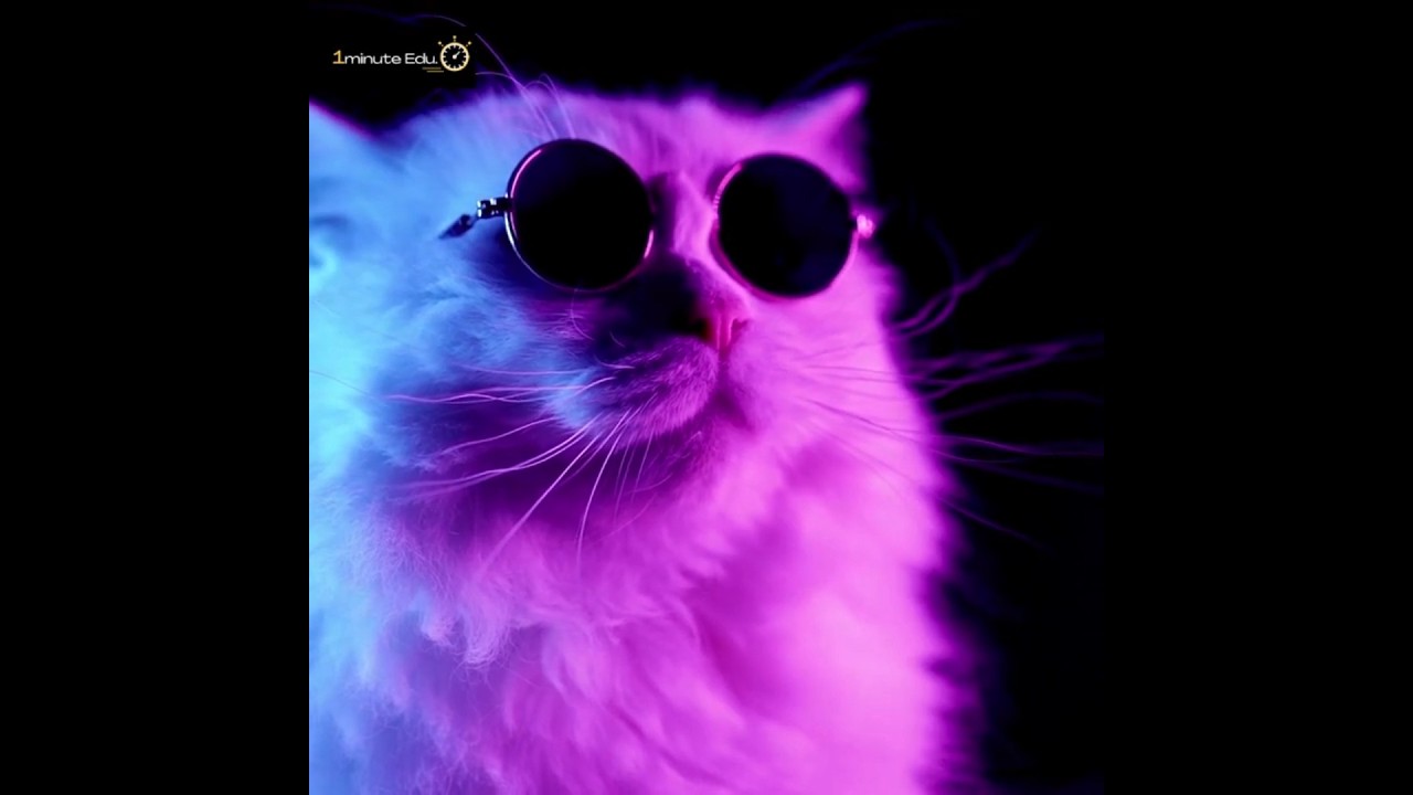 Top 10 most expensive cats in the World 🐱💰  #cat #animals