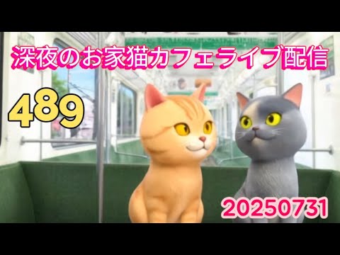 深夜のお家猫カフェライブ配信 ４８９