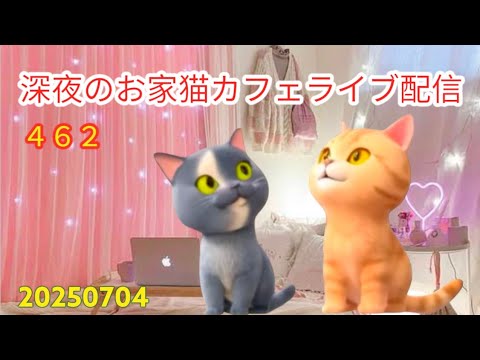 深夜のお家猫カフェライブ配信 ４６２