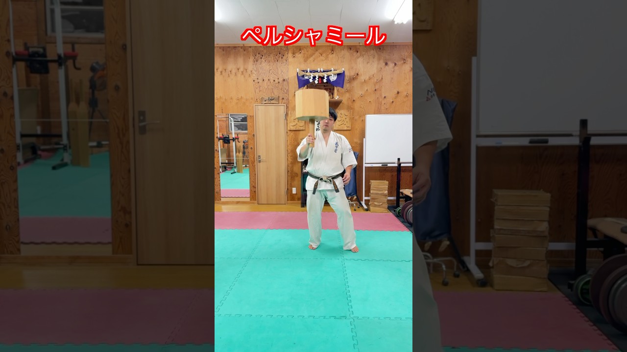 【武道・筋トレ】怪力でもできないと話題のペルシャミール！やってみた！！　#aikido ＃karate #martial #武道 #空手＃合気道＃筋トレ#selfdefens