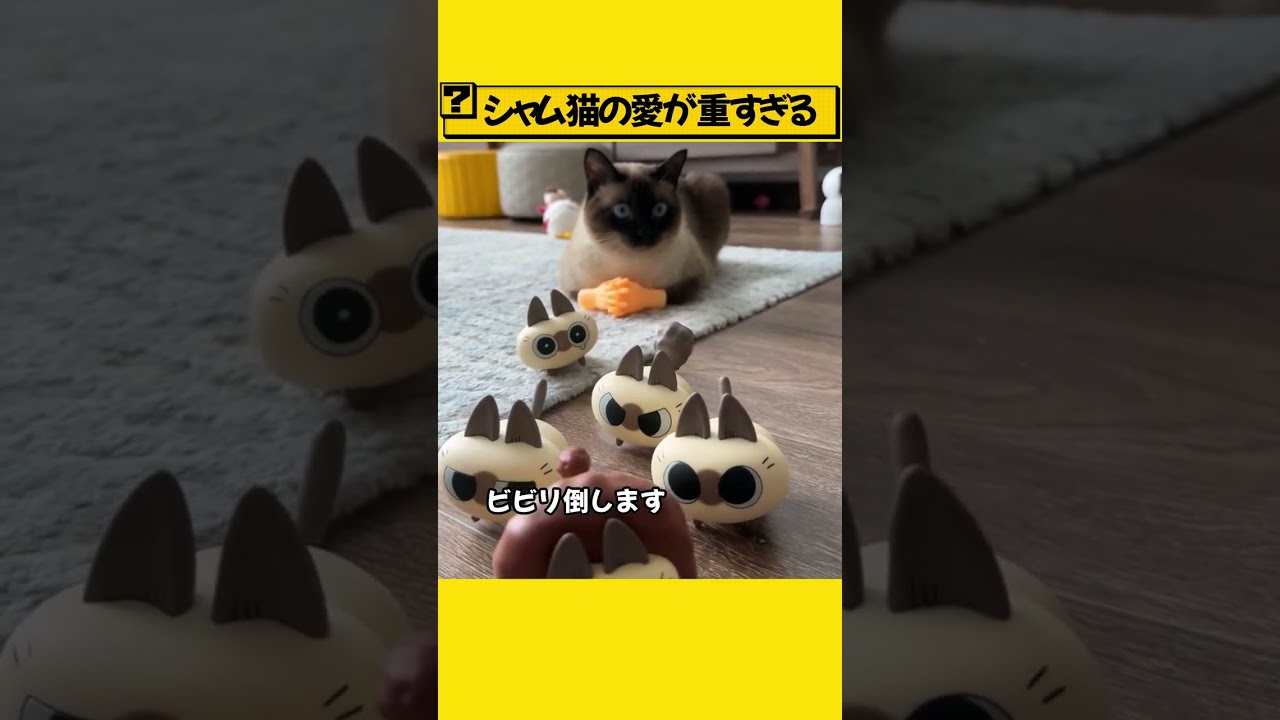 シャム猫の愛が重すぎる