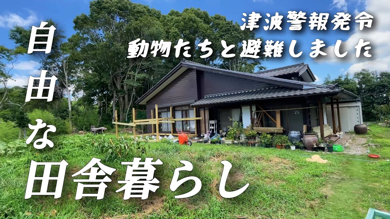 【田舎暮らし】津波警報が出たので犬猫を連れて避難しました/小さな平屋生活【移住99】