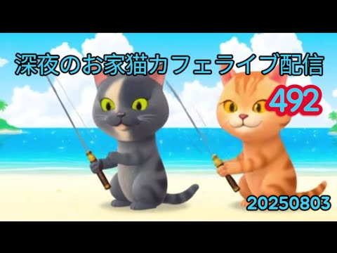 深夜のお家猫カフェライブ配信 ４９２
