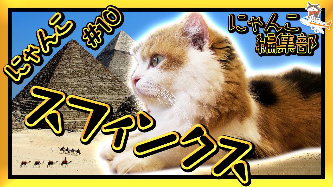 【世界にゃんこ発見！】猫の秘境〜にゃんこスフィンクス〜【にゃんこ編集部 #10】