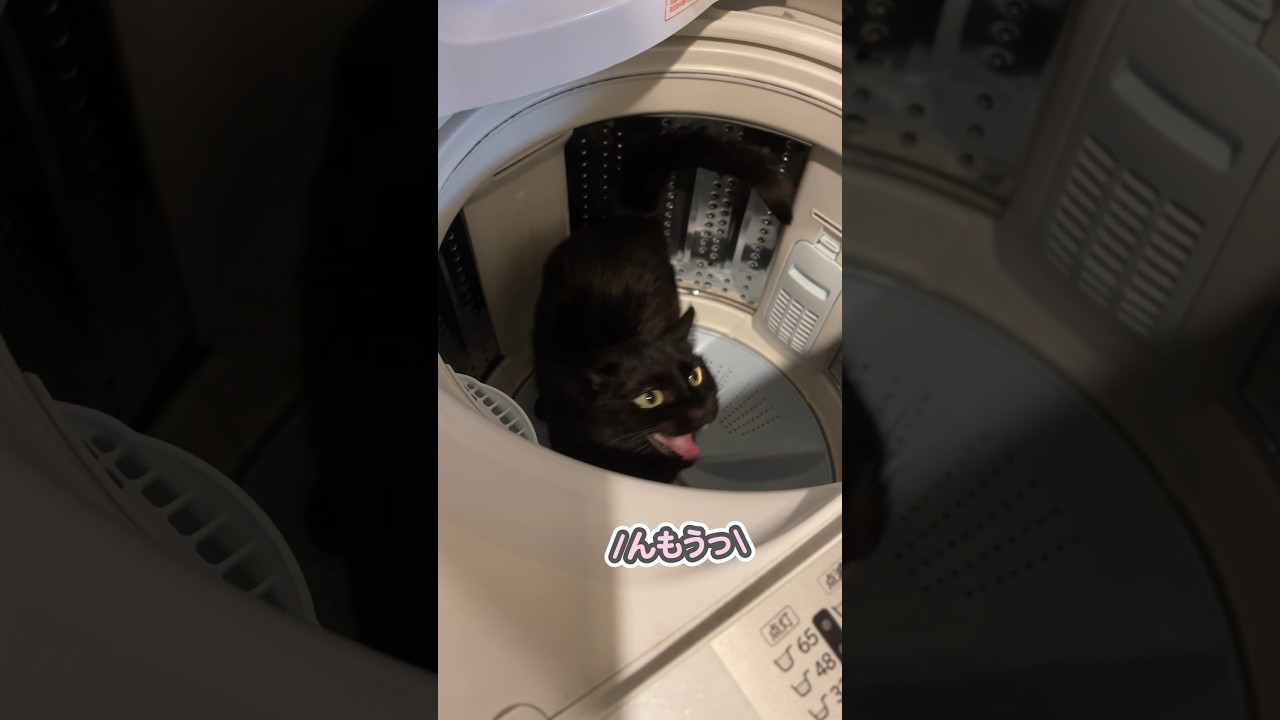 もしかして、反抗期でしょうか…？